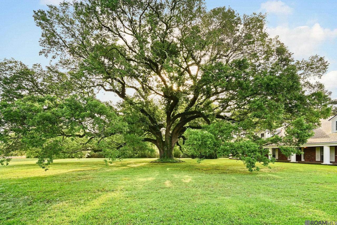 https://bt-photos.global.ssl.fastly.net/batonrouge/1280_boomver_2_2026005985-2.jpg