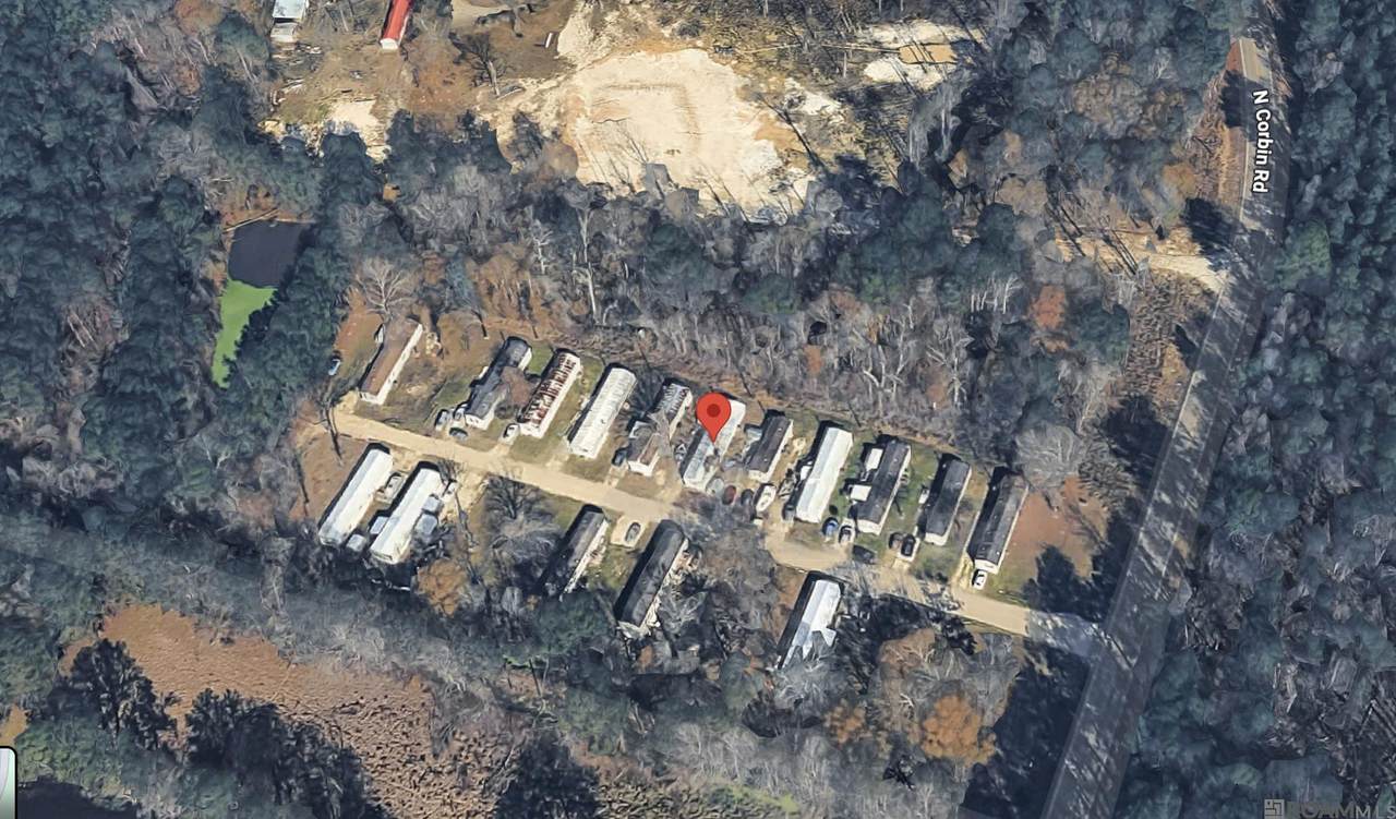35081 Corbin Rd - Photo 1
