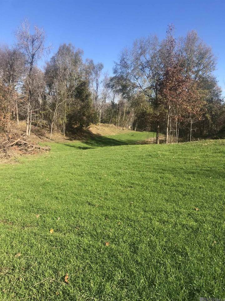 53 Cliffs Plantation Road - Photo 1
