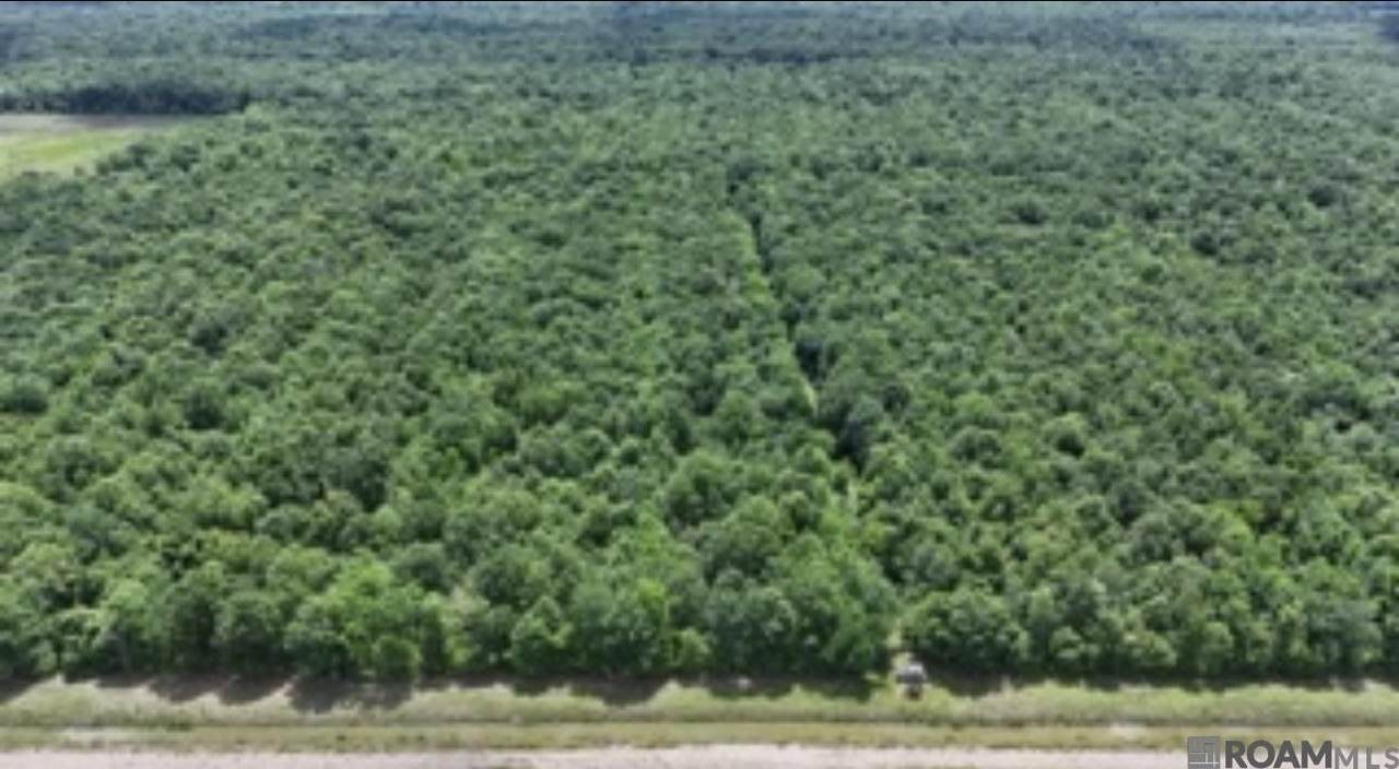  Greenwood Plantation Rd - Photo 1