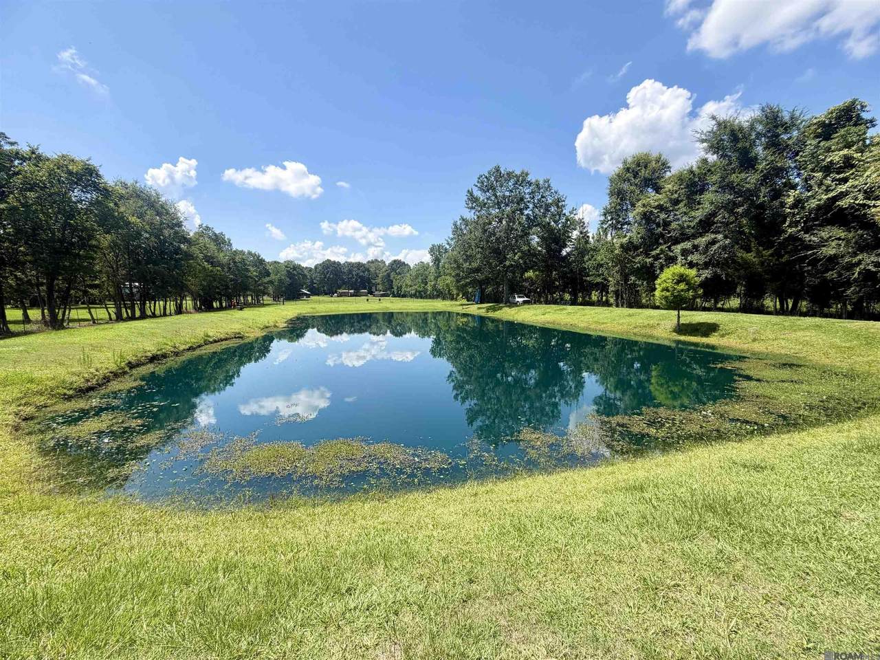 https://bt-photos.global.ssl.fastly.net/batonrouge/1280_boomver_2_2026009916-2.jpg