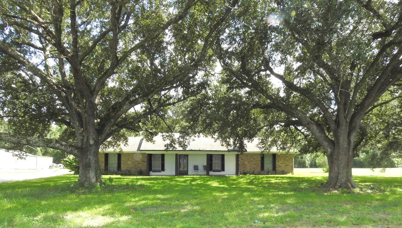 3439 Highway 316 - Photo 1