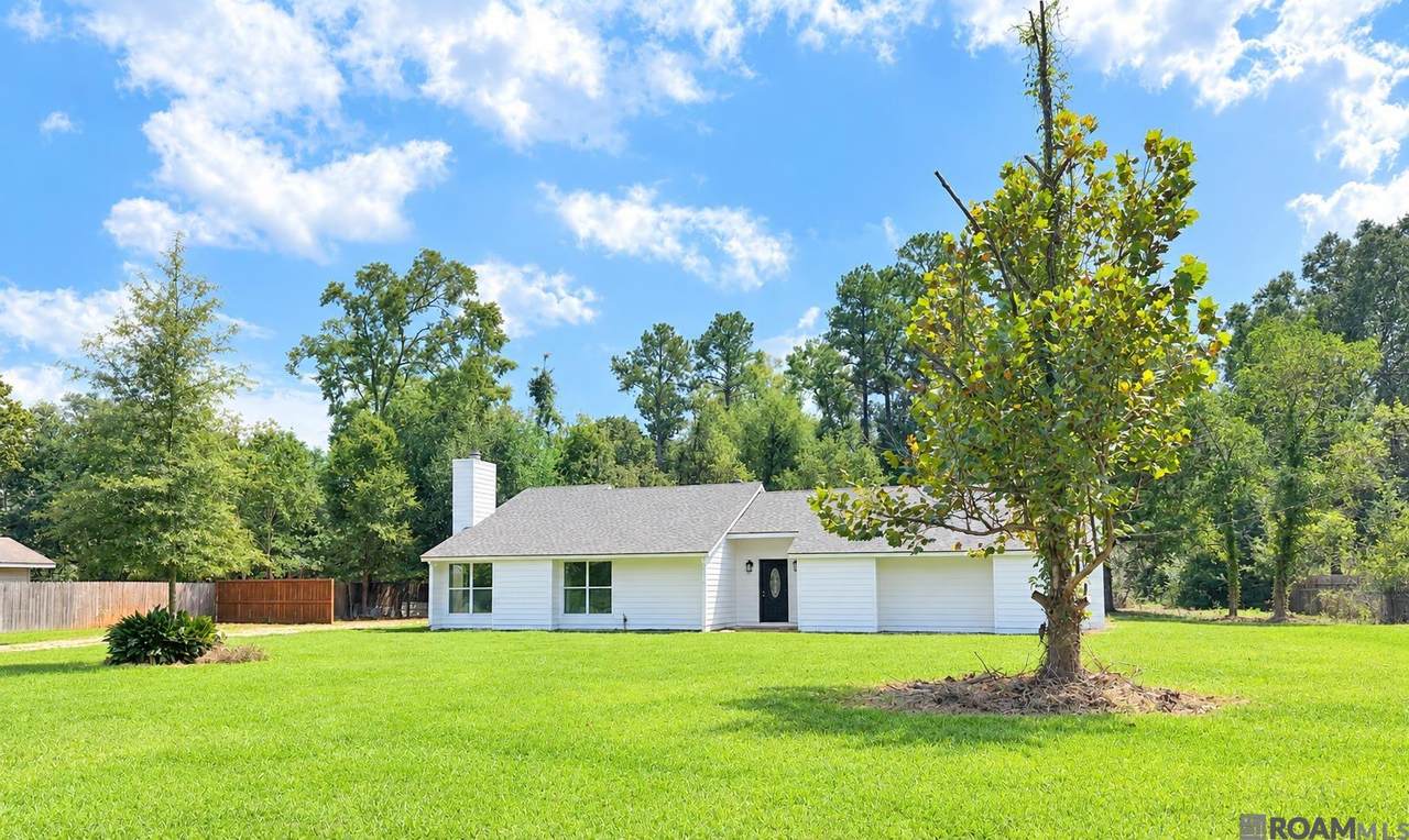 17126 Little Italy Rd - Photo 1