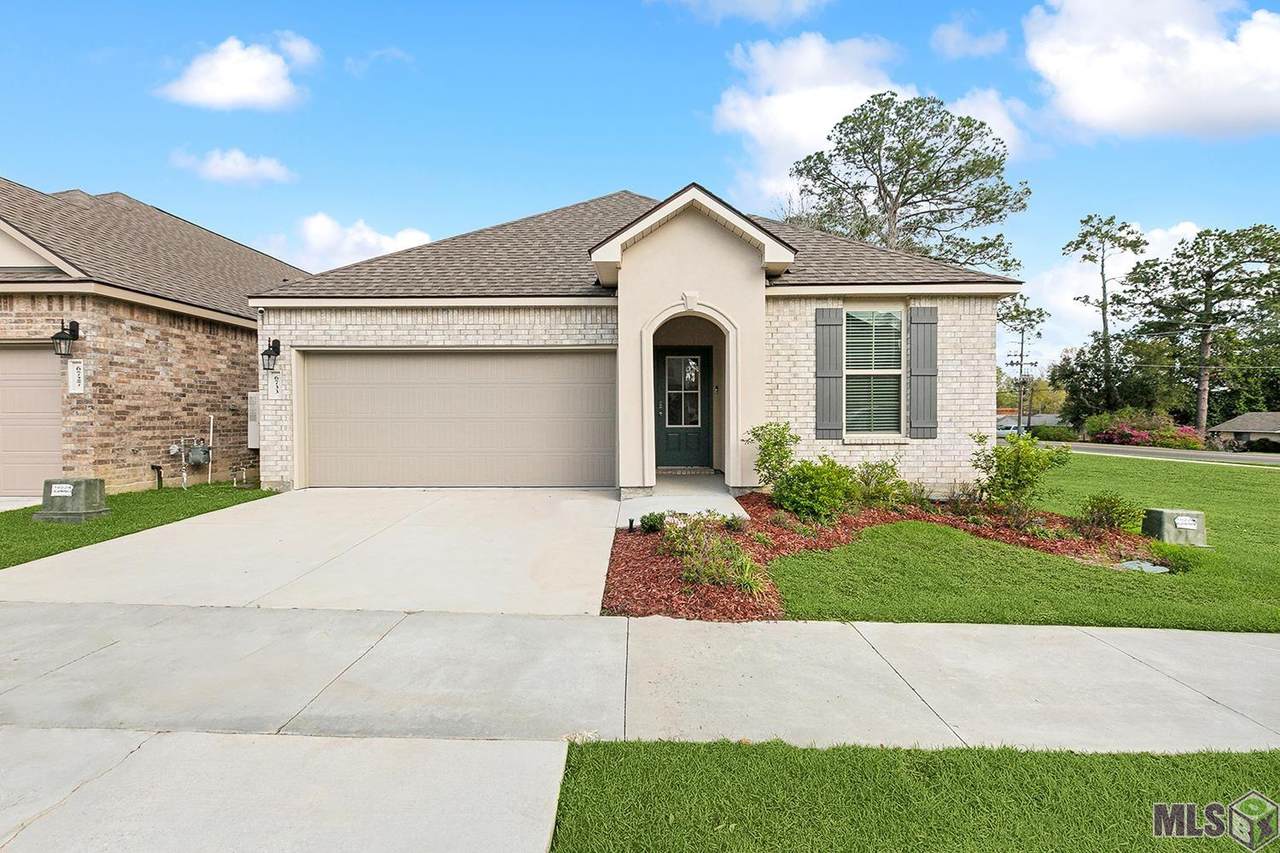 6733 Tiger Pointe Dr - Photo 1