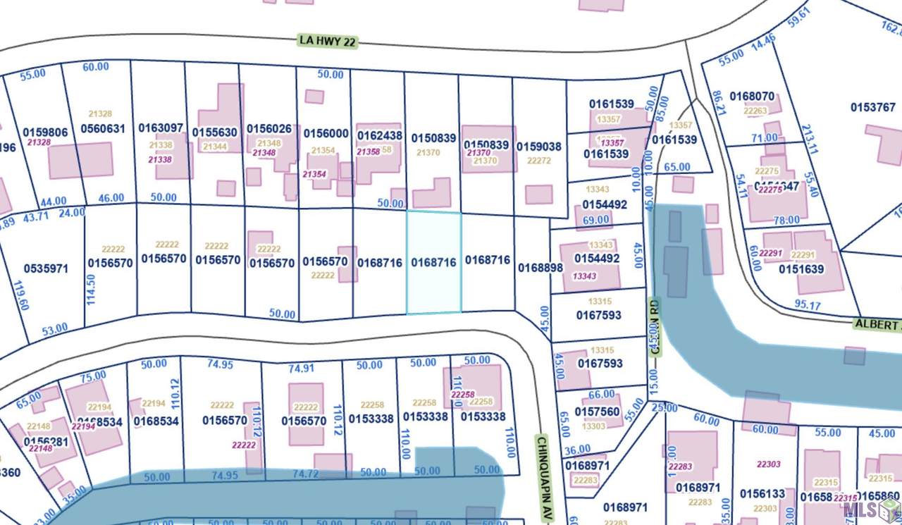 Lot 31 Chinquapin Ave - Photo 1