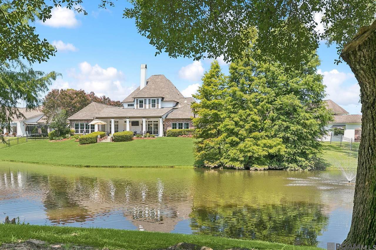 7046 Dianthus - Photo 1