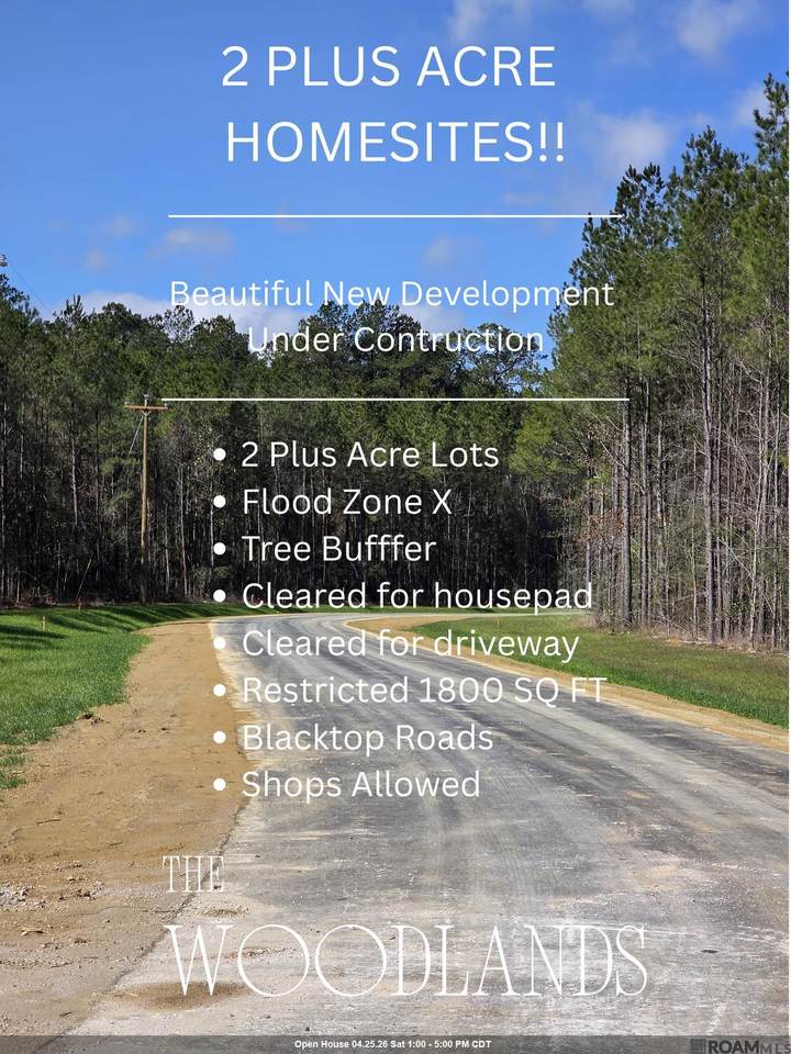 Lot 8 Honey Grove - Photo 1