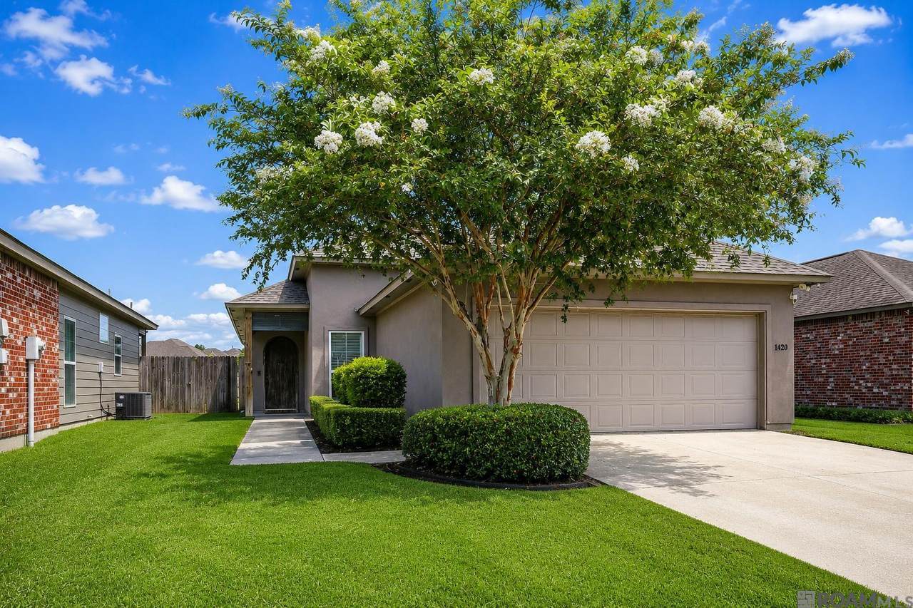 1420 Spanish Lakes Ave - Photo 1