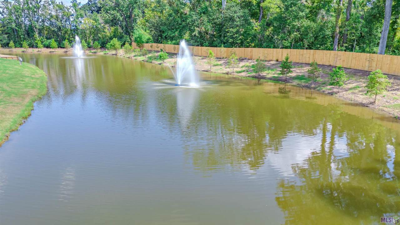 1752 Tiger Crossing Dr - Photo 1