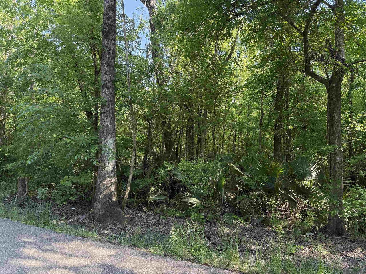 Tract 2-A-2 Melancon Rd - Photo 1