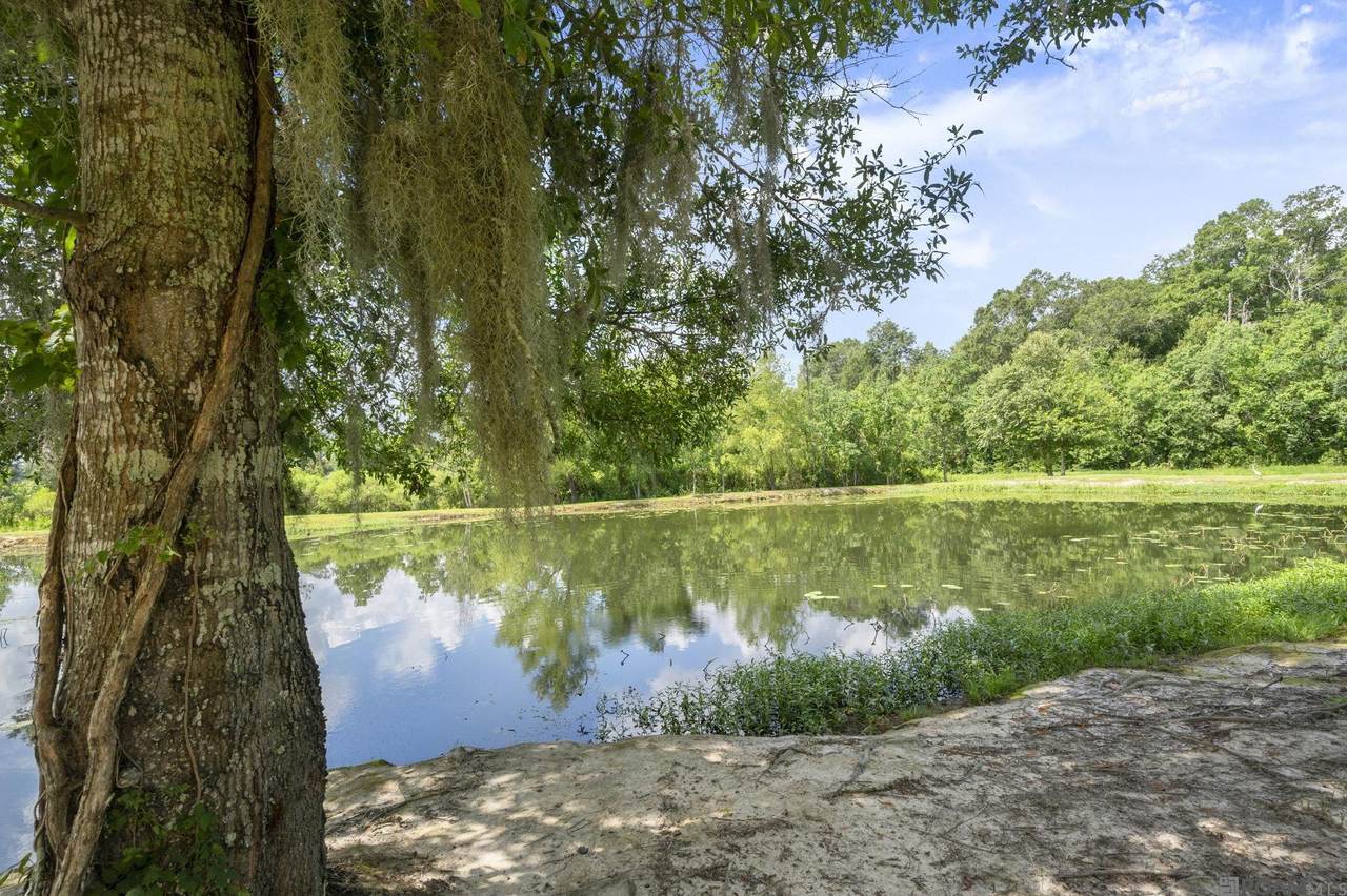 https://bt-photos.global.ssl.fastly.net/batonrouge/1280_boomver_4_2026012701-2.jpg