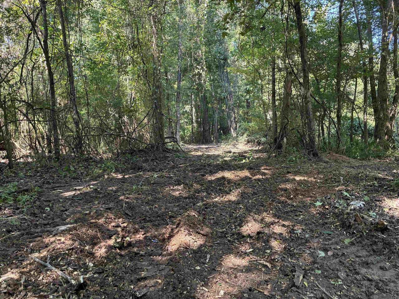 7889 Solitude Rd - Photo 1