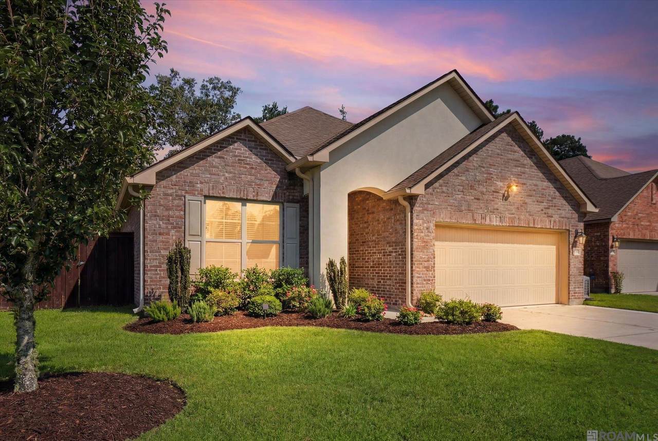 40133 Cypress View Road - Photo 1