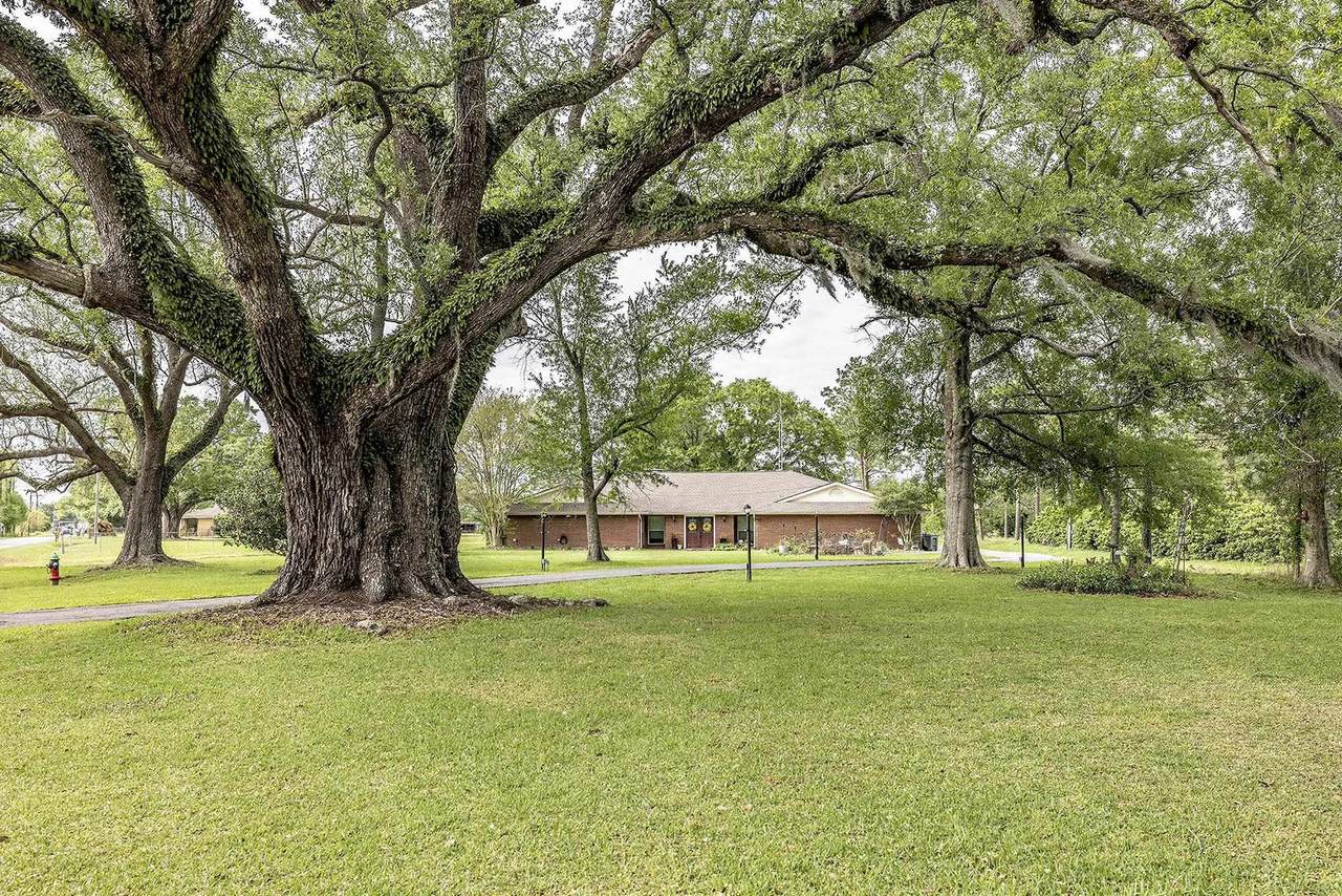 3902 Southdown Mandalay Road - Photo 1