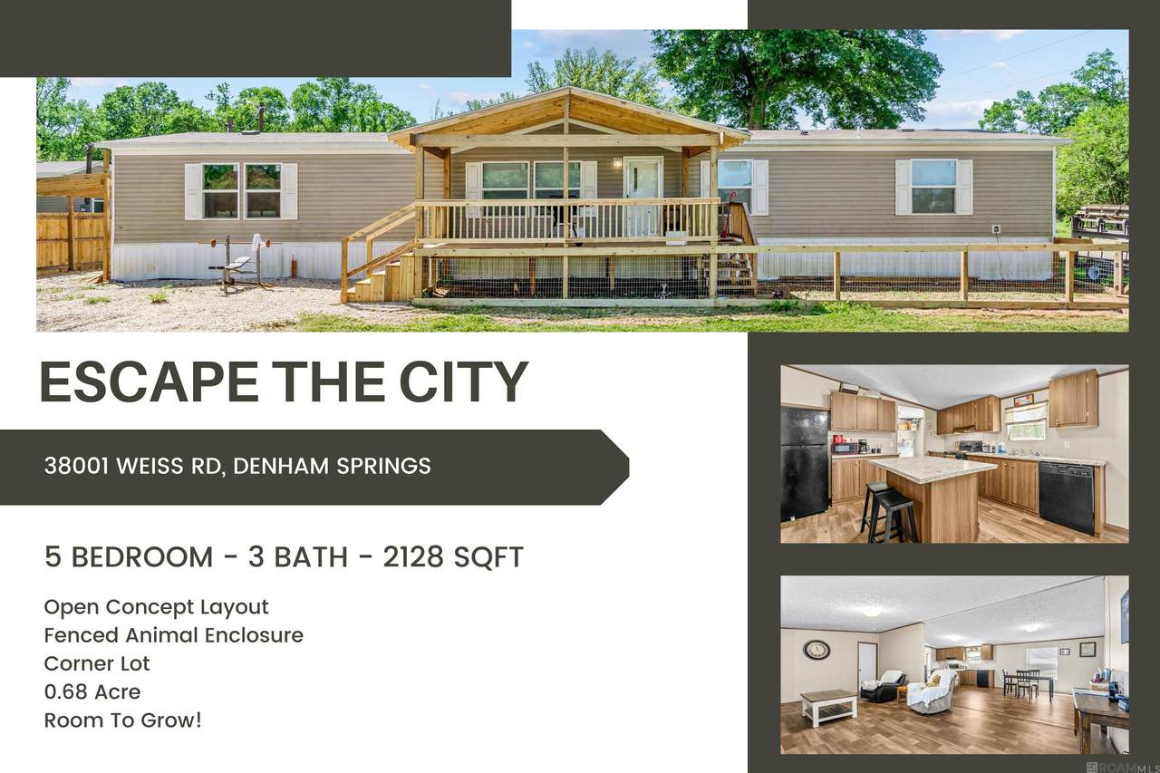 38001 Weiss Rd - Photo 1