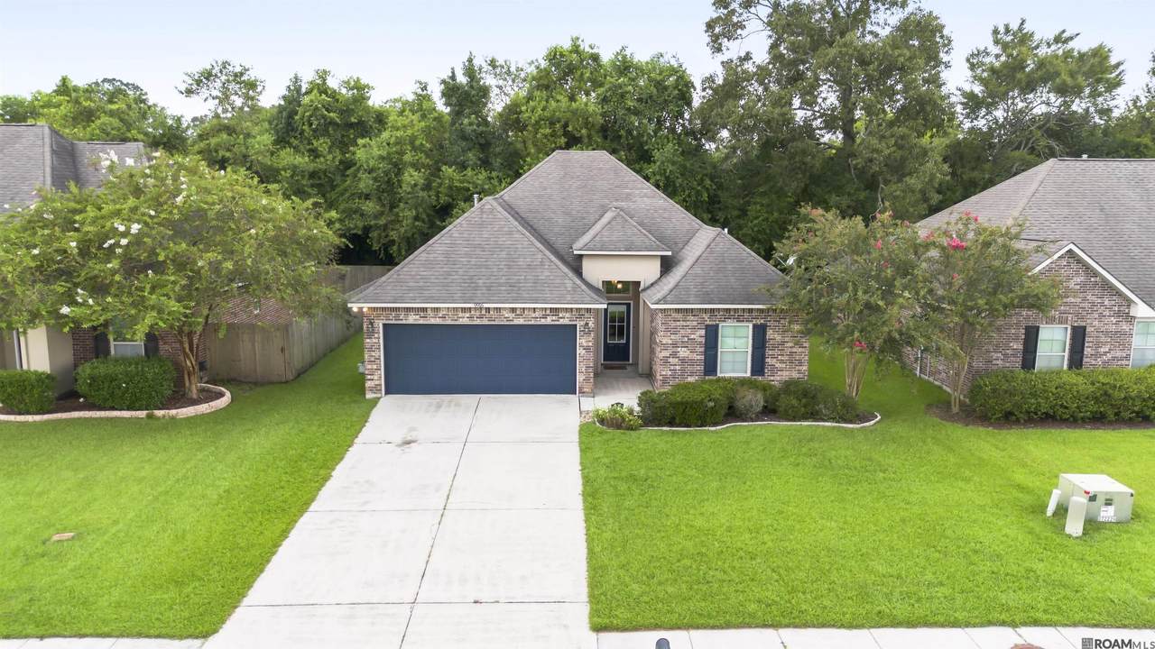 9916 Savannah Jane Ln - Photo 1