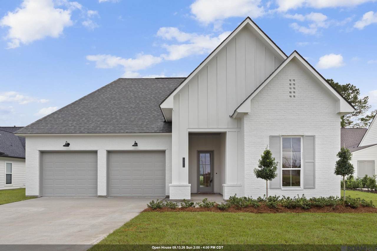 17296 Rabbit Rush Ave - Photo 1