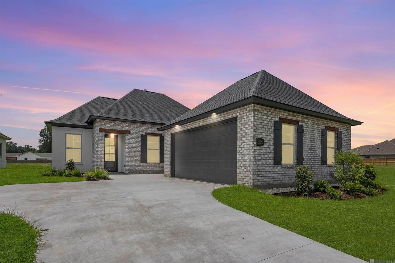 36259 Belle Parc Ave - Photo 1