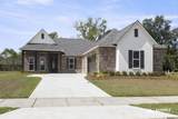 10142 Sanctuary Oaks Dr - Photo 1