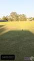 12542 Lakeshore Dr - Photo 8