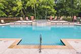 30874 Wild Iris Way - Photo 41