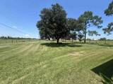 241 Company Canal Road - Photo 4