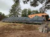 5064 Hwy 84 - Photo 4