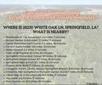 5.12 Acres White Oak Ln - Photo 14