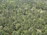 5.12 Acres White Oak Ln - Photo 16