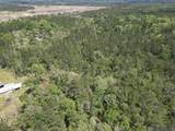 5.12 Acres White Oak Ln - Photo 17
