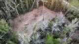 5.12 Acres White Oak Ln - Photo 19