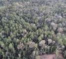 5.12 Acres White Oak Ln - Photo 20