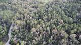 5.12 Acres White Oak Ln - Photo 21