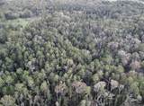 5.12 Acres White Oak Ln - Photo 23