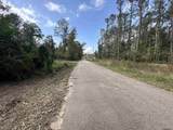 5.12 Acres White Oak Ln - Photo 3