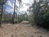 5.12 Acres White Oak Ln - Photo 4