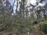 5.12 Acres White Oak Ln - Photo 7