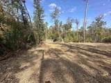 5.12 Acres White Oak Ln - Photo 8