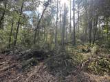 5.12 Acres White Oak Ln - Photo 9