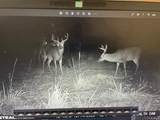8311 La Hwy 955 - Photo 16