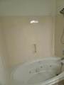 43231 Norwood Dr - Photo 15