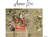 40256 Hanging Moss Lane - Photo 16
