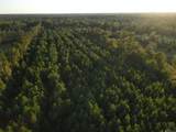 TBD Gilead Rd - Photo 8