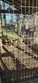 36443 C Braud Rd - Photo 47