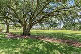 6545 Fennwood Dr - Photo 13