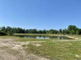 45238 Butch Gore Rd - Photo 5