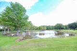 113 Ouiski Bayou Drive - Photo 37