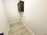 32538 White Bloom Ln - Photo 7