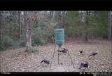 6641 Lot B River Rd - Photo 15