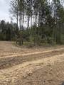 Lot 35 Copper Pass - Photo 4